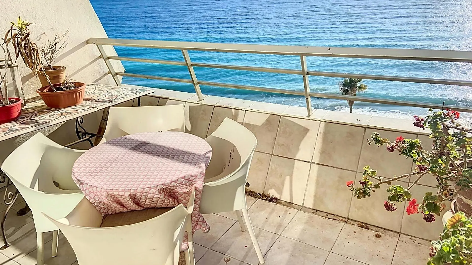 Situation Et Vue Exceptionnelles 338L Roll Apartment Cannes 0*,